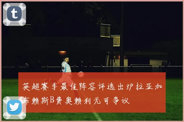 英超赛季最佳阵容评选出炉拉亚加布赖斯B费奥赖利无可争议